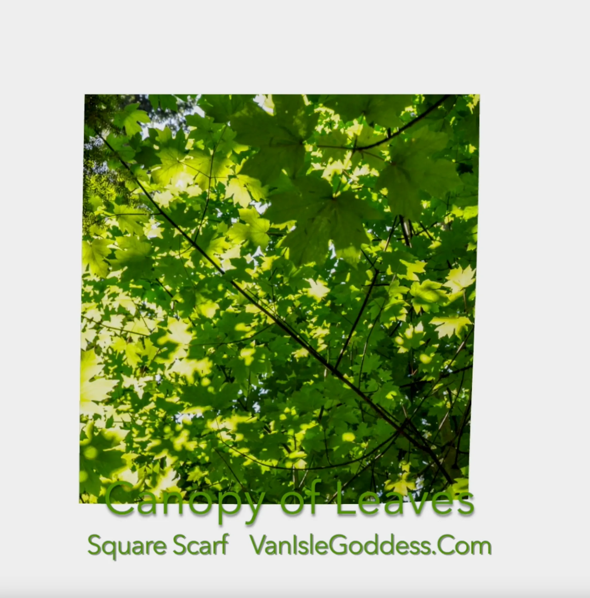 Canopy of Leaves Square Scarf
