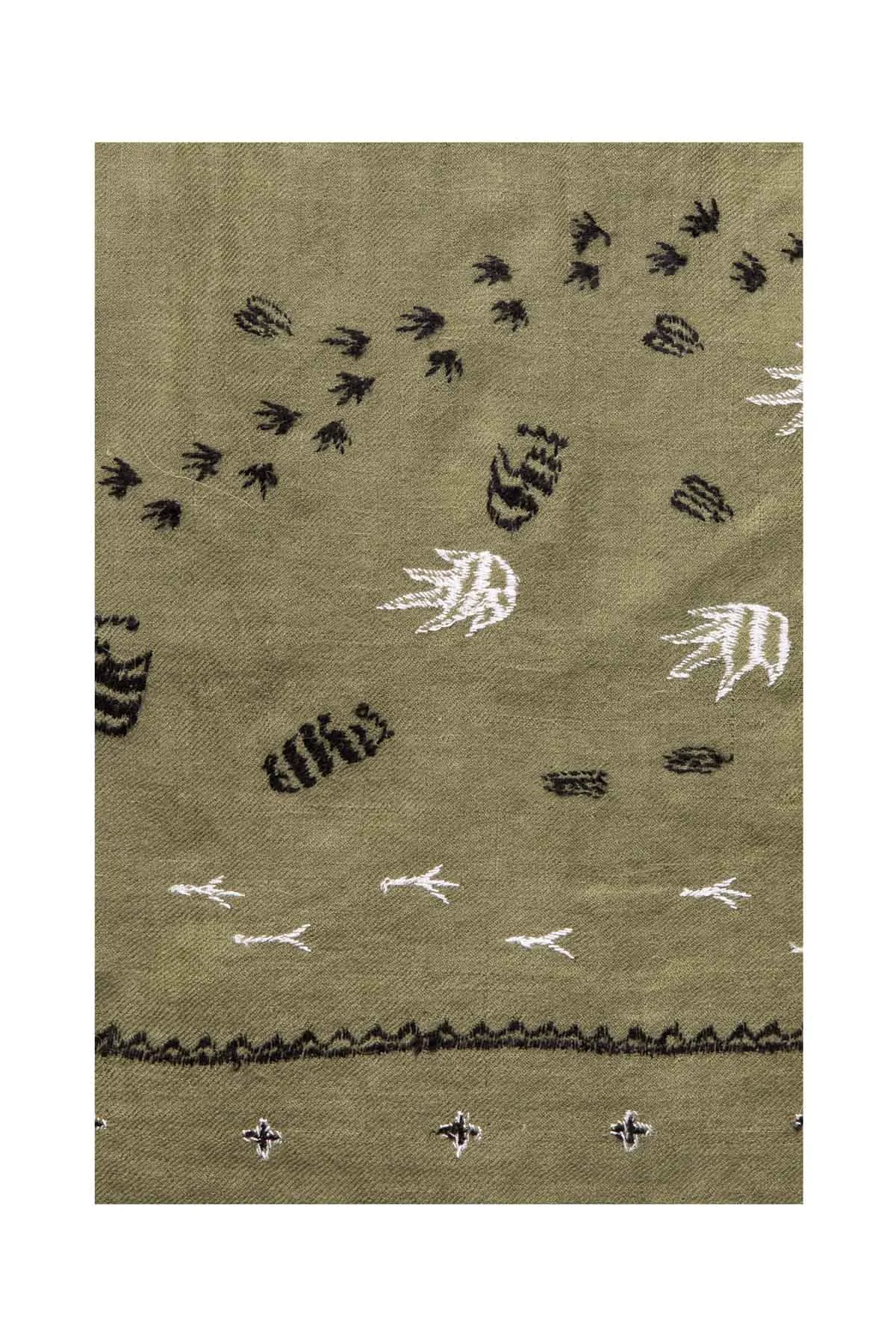 Footprints Embroidered Pashmina Shawl - Green