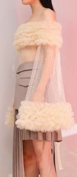 Off-the-Shoulder Ruffled Sheer Mesh Blouse