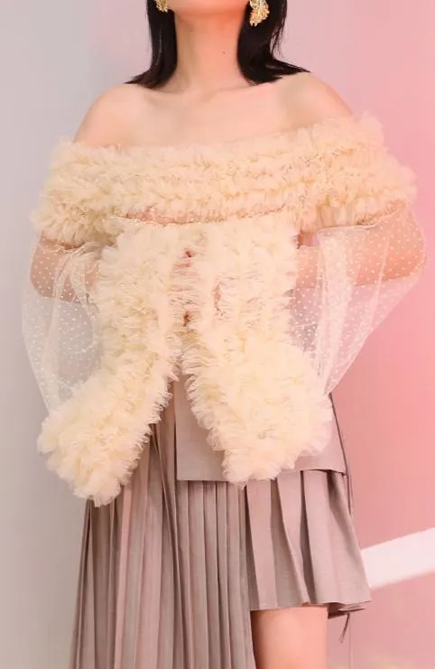 Off-the-Shoulder Ruffled Sheer Mesh Blouse